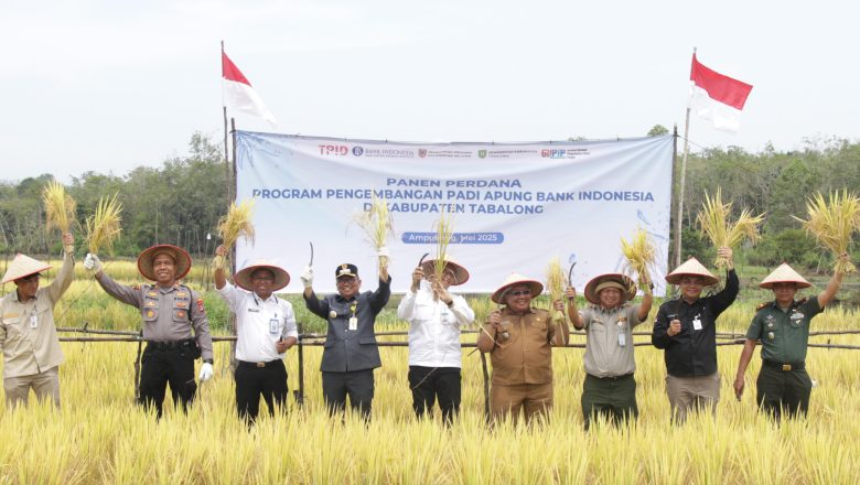 Inovasi di Atas Air untuk Ketahanan Pangan Kalsel, Panen Padi Apung di Tabalong