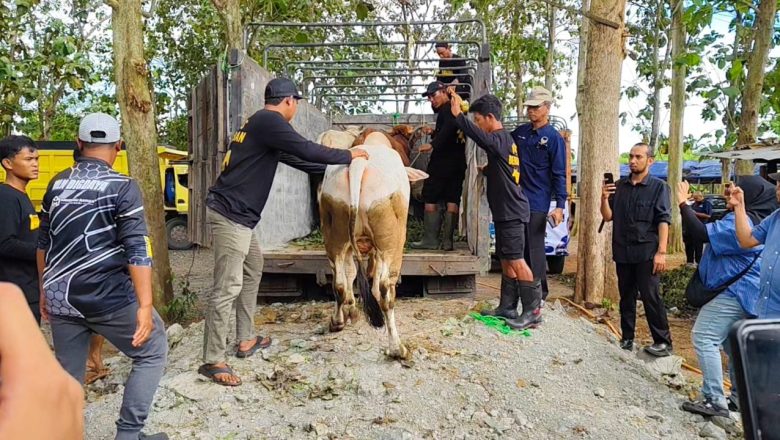 Ratusan Hewan Qurban dibagikan Ketua DPW Partai Nasdem Kalsel ke semua DPD Kabupaten /Kota