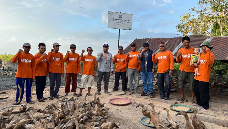 Program Bantuan Bebek Petelur YBM BRILiaN Berbuah Manis, Produksinya Capai ribuan Butir per Hari