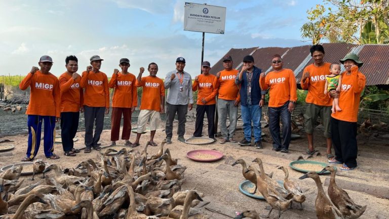 Program Bantuan Bebek Petelur YBM BRILiaN Berbuah Manis, Produksinya Capai ribuan Butir per Hari
