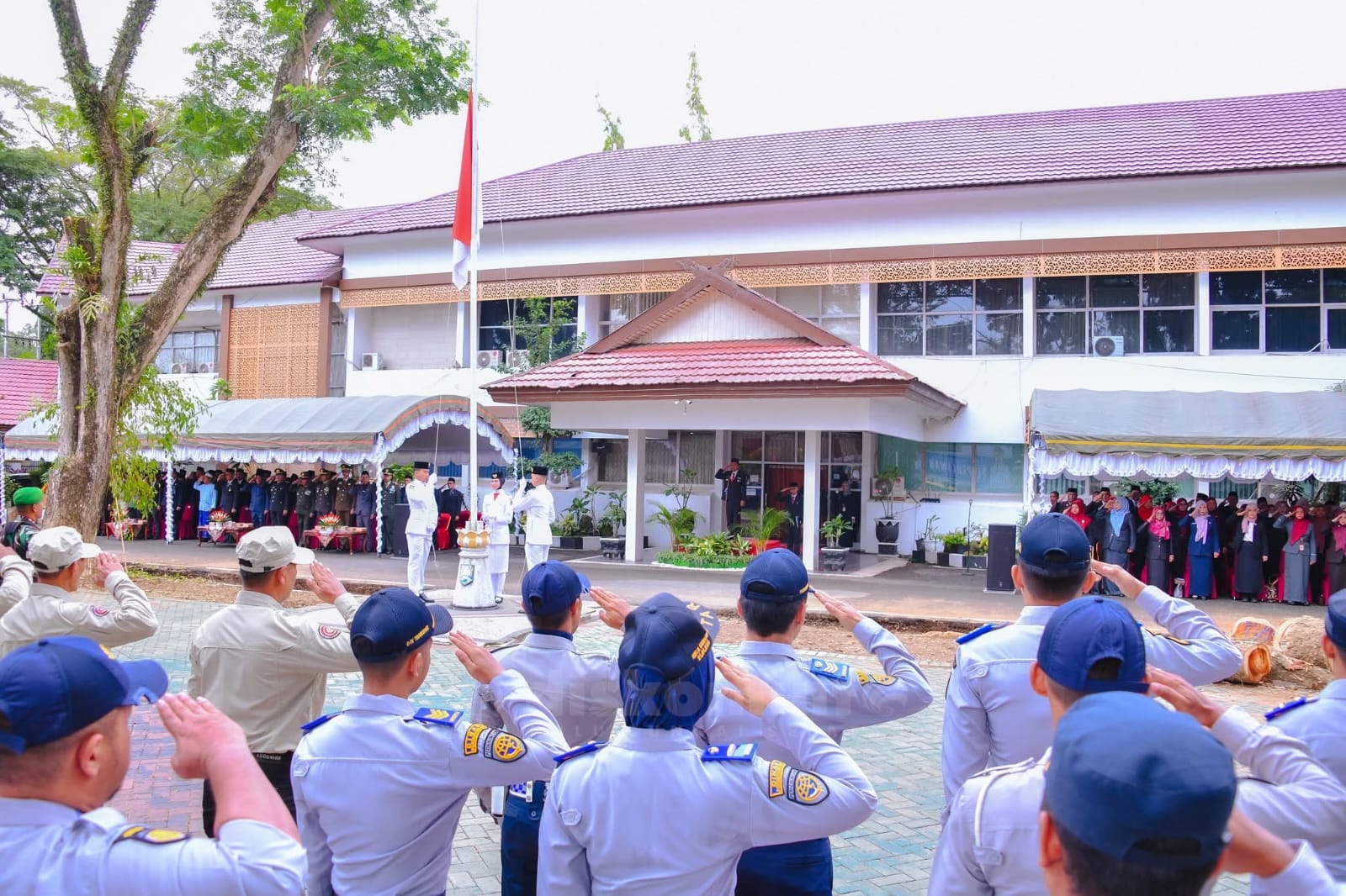 WhatsApp Image 2025-11-10 at 15.45.46