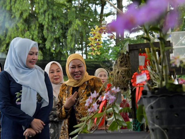 Festival Anggrek dan Bonsai II se-Kalimantan Selatan Tahun 2025 di Kandangan