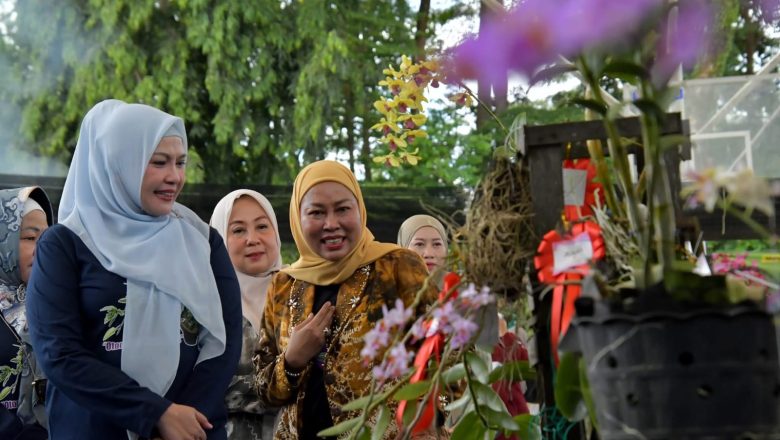 Festival Anggrek dan Bonsai II se-Kalimantan Selatan Tahun 2025 di Kandangan