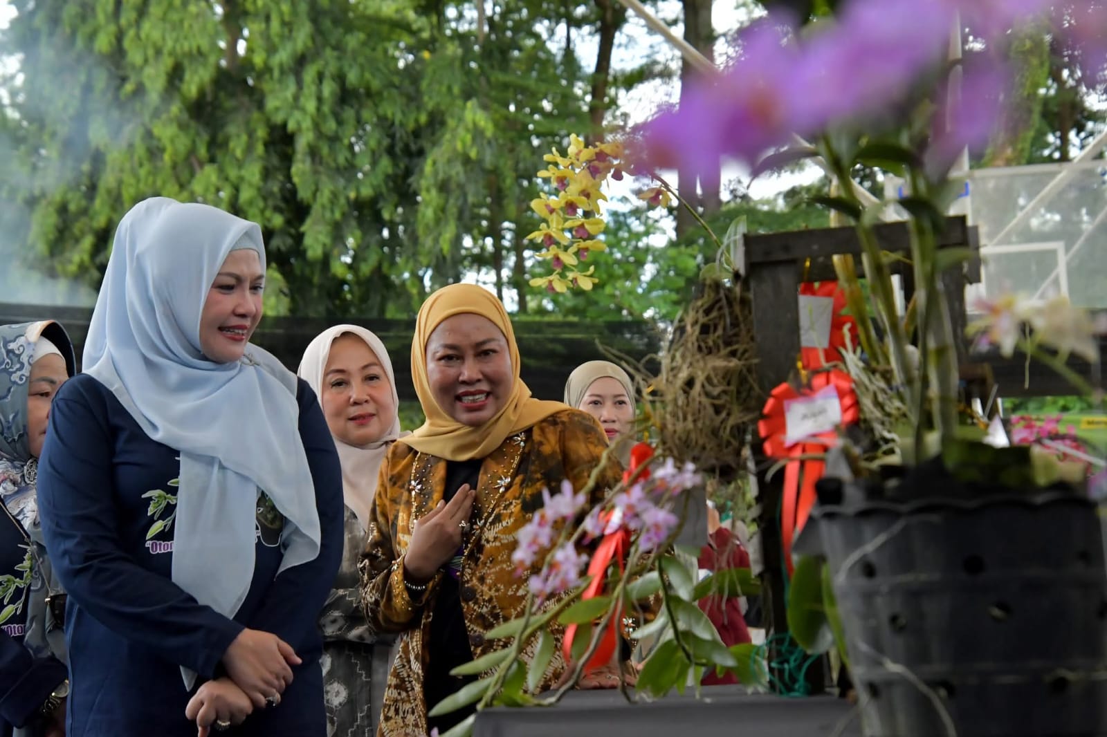 Festival Anggrek dan Bonsai II se-Kalimantan Selatan Tahun 2025 di Kandangan
