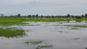 WhatsApp Image 2026-01-28 at 11.11.55