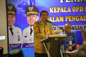 WhatsApp Image 2026-02-12 at 10.03.05 (1)