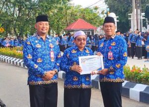 WhatsApp Image 2026-02-19 at 11.07.52