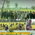 Sinergi Pemda dan TNI, Panen Raya di Padang Batung Perkuat Ketahanan Pangan HSS
