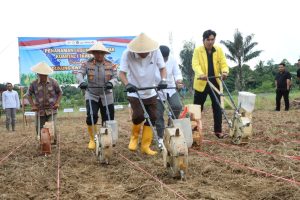 WhatsApp Image 2026-03-07 at 19.51.54 (1)