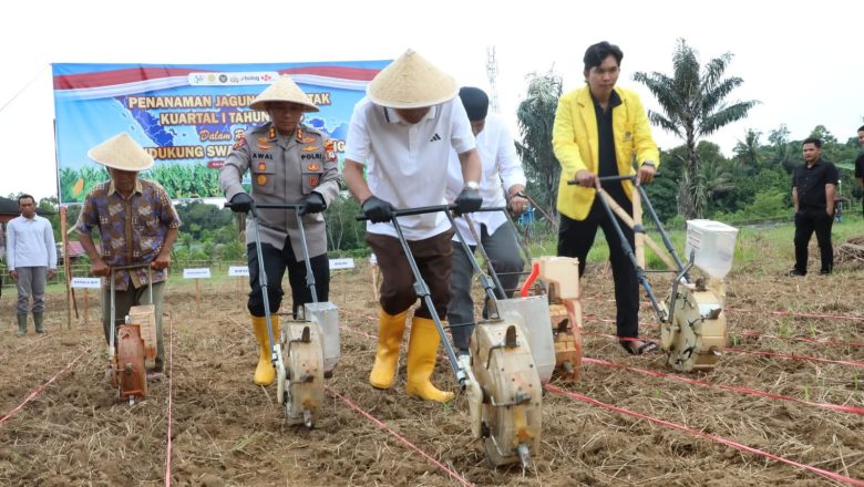 Perkuat Ketahanan Pangan, Bupati HSS dan Kapolres Tanam Jagung Bersama Warga Jelatang