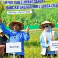 Produksi Padi HSS Tembus 26 Ribu Ton, Bupati Dorong Tanam Serentak