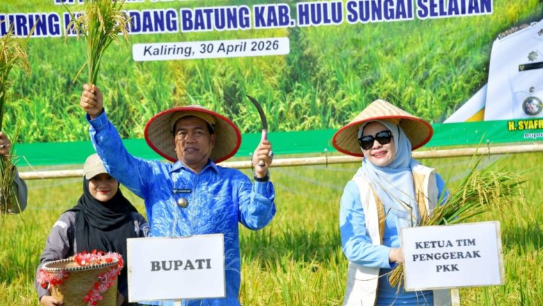 Produksi Padi HSS Tembus 26 Ribu Ton, Bupati Dorong Tanam Serentak