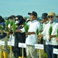 Tanam Padi Bersama Kementan, HSS Percepat Modernisasi Pertanian dan Penguatan Ketahanan Pangan