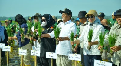 Tanam Padi Bersama Kementan, HSS Percepat Modernisasi Pertanian dan Penguatan Ketahanan Pangan