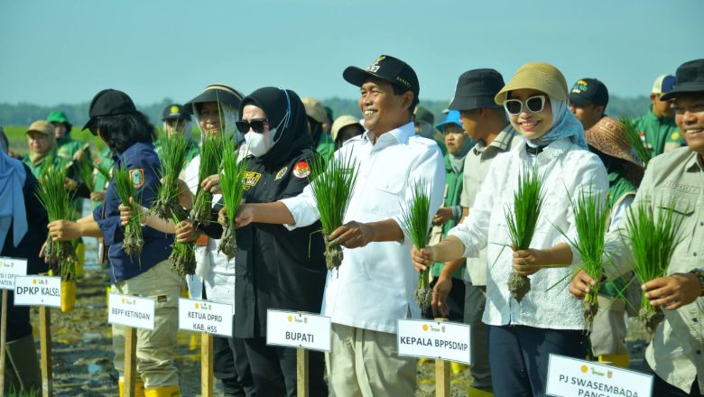 Tanam Padi Bersama Kementan, HSS Percepat Modernisasi Pertanian dan Penguatan Ketahanan Pangan