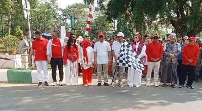 48 Peserta Semarakkan Karnaval Kemerdekaan HSS, Kostum Berbahan Bekas Jadi Sorotan