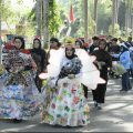Semarak HUT ke-81 RI, Ketua TP PKK HSS Lepas Jalan Sehat di Kandangan Utara