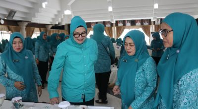 Semarak HKG PKK HSS, Kader Adu Kreativitas dan Keterampilan