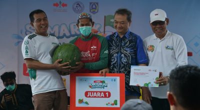 Semangka AMARA F1 Tembus Pasar Luar Daerah, Potensi Ekonomi Petani Daha Kian Menjanjikan